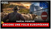 Coupe-feu contre les incendies : une règle européenne complique la vie des éleveurs Coupe-feu contre les incendies : une règle européenne complique la vie des éleveurs