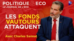 CRISE DE LA ZONE EURO : LA FRANCE DÉTONATEUR ? - Charles Sannat dans Politique & Eco - TVL CRISE DE LA ZONE EURO : LA FRANCE DÉTONATEUR ? - Charles Sannat dans Politique & Eco - TVL