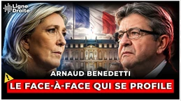 Deux forces, un vide : pourquoi seuls le RN et LFI sont prêts pour 2027 - Arnaud Benedetti