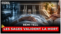 Euthanasie : le Conseil constitutionnel valide l’une des lois les plus permissives au monde Euthanasie : le Conseil constitutionnel valide l’une des lois les plus permissives au monde