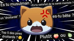 FAQ 2 : Je réponds (ENCORE) à toutes vos questions (FAQ des 100 000 abonnés)