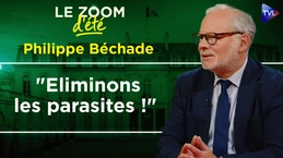 Gouvernance corrompue et ingérences étrangères : La France sous tutelle ? Zoom d'été - Ph. Béchade