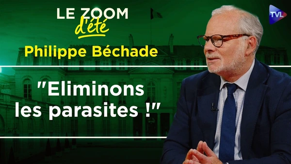 Gouvernance corrompue et ingérences étrangères : La France sous tutelle ? Zoom d'été - Ph. Béchade