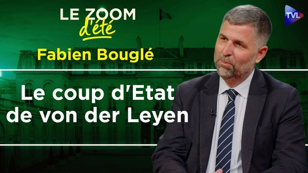 Guerre de l'énergie : Les ennemis de l'intérieur - Zoom d'été - Fabien Bouglé - TVL