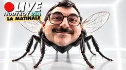 🔴 Ils ont UPLOADÉ le CERVEAU d'une MOUCHE dans un ORDINATEUR ! 🔴 Ils ont UPLOADÉ le CERVEAU d'une MOUCHE dans un ORDINATEUR !
