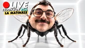 🔴 Ils ont UPLOADÉ le CERVEAU d'une MOUCHE dans un ORDINATEUR ! 🔴 Ils ont UPLOADÉ le CERVEAU d'une MOUCHE dans un ORDINATEUR !