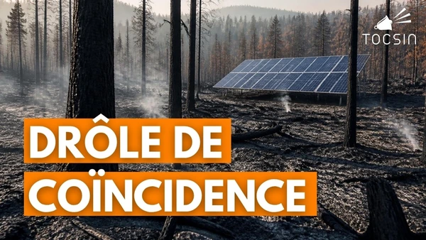 Incendies 2022 : coup d’accélérateur pour le projet de panneaux photovoltaïques de Neoen