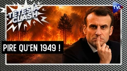 Incendies en Gironde : 115 000 hectares brûlés, Macron et l'État ont-ils failli ? Têtes à Clash