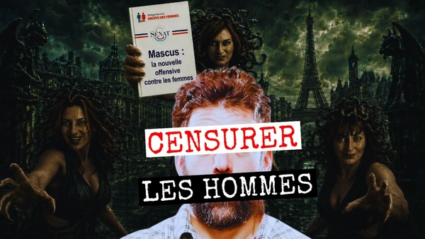 J'AI LU LE RAPPORT ANTI-HOMMES DU SÉNAT... ET C'EST INQUIETANT !