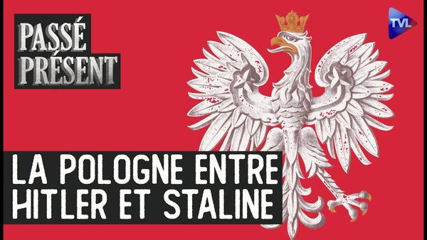 Janusz Radziwill, la raison et l'honneur - Passé-Présent avec Cédric de Fougerolles - TVL