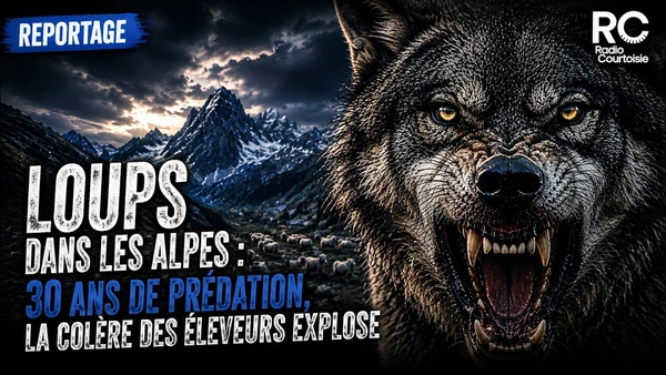 La colère des éleveurs : « On est comme les cowboys face aux Indiens ! »