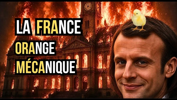 La France est en guerre... Et nos dirigeants regardent ailleurs #compilation