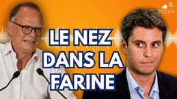 La Macronie en panique : Philippe et Attal en pleine débâcle - Benhessa/Cocq La Macronie en panique : Philippe et Attal en pleine débâcle - Benhessa/Cocq