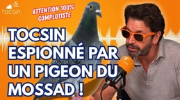 La théorie décoiffante d’AuBonTouite ! La théorie décoiffante d’AuBonTouite !