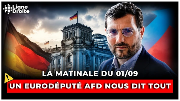 L’AfD va-t-elle gouverner l’Allemagne ? - La matinale du 1er septembre