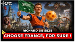 Le délire de Macron : un parc Dragon Ball à 6 milliards avec les Saoudiens - Richard de Seze