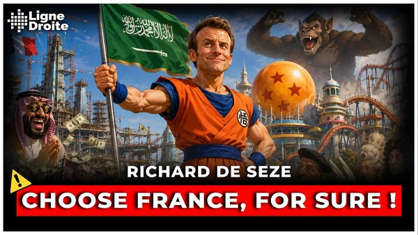 Le délire de Macron : un parc Dragon Ball à 6 milliards avec les Saoudiens - Richard de Seze