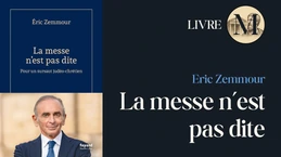 Le dernier essai de Zemmour sur l'avenir de notre pays