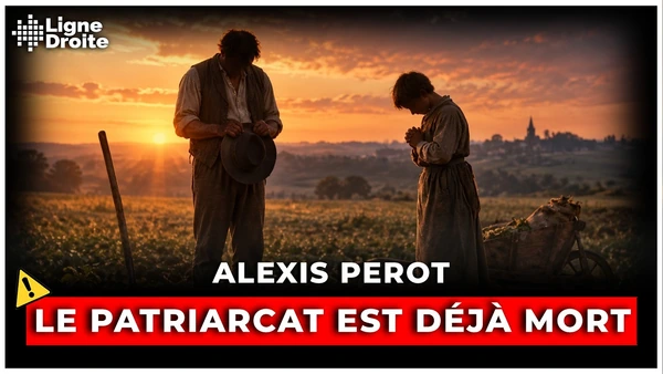 Le patriarcat que les féministes combattent n’existe plus - Alexis Perot