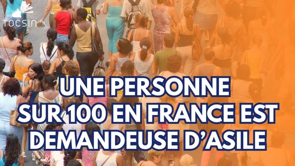 Le rapport choc qui montre que le Grand Remplacement sera effectif en 2040