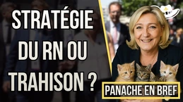 Le RN, un partie de nuls ? Faut-il soutenir le RN en 2027 ? Pour qui voter à la présidentielle ?