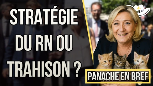 Le RN, un partie de nuls ? Faut-il soutenir le RN en 2027 ? Pour qui voter à la présidentielle ?
