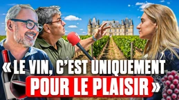 Le vin, une histoire d’amour : les vignerons nous racontent