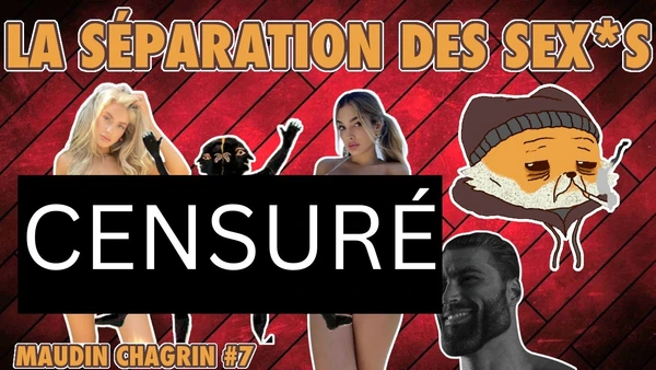 LES RAPPORTS HOMME/FEMME... POURQUOI ÇA MARCHE PLUS