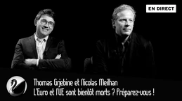 L'Euro et l’UE sont bientôt morts ? Préparez-vous ! Thomas Grjebine et Nicolas Meilhan [EN DIRECT]