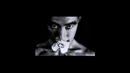 Mishima, une vie en 4 chapitres