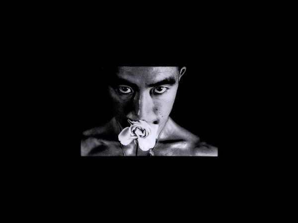 Mishima, une vie en 4 chapitres