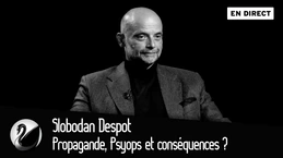 Propagande, Psyops et conséquences ? Slobodan Despot [EN DIRECT]