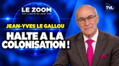 Remigration : le recours à la force inéluctable ? Zoom - Jean-Yves Le Gallou - TVL Remigration : le recours à la force inéluctable ? Zoom - Jean-Yves Le Gallou - TVL