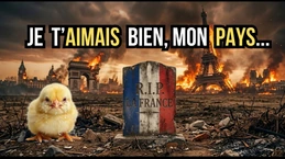 R.I.P la France (je suis désespéré...)