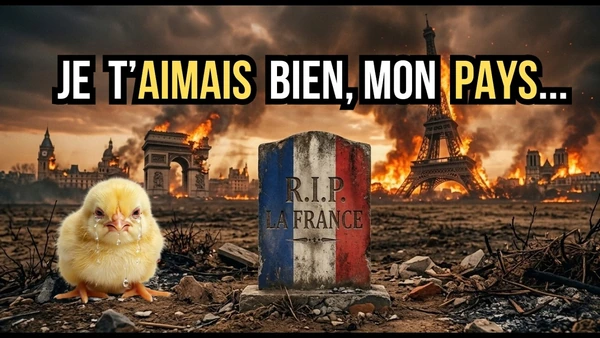 R.I.P la France (je suis désespéré...)