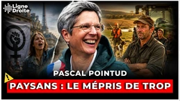 Sandrine Rousseau : autopsie d'un mépris écologiste qui ne passe plus - Pascal Pointud