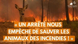 Scandale au Porge : la préfecture entrave les initiatives des citoyens ! Scandale au Porge : la préfecture entrave les initiatives des citoyens !