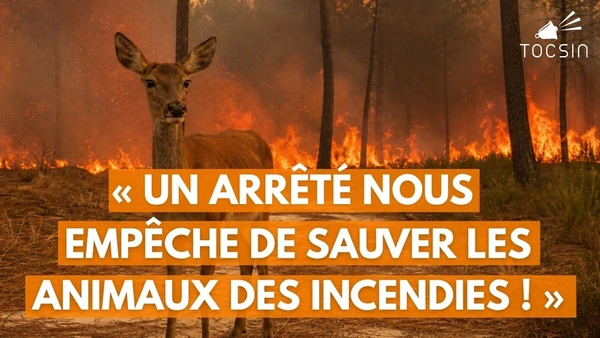 Scandale au Porge : la préfecture entrave les initiatives des citoyens !