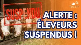 Scandale en France : après les soignants, les éleveurs suspendus ! Scandale en France : après les soignants, les éleveurs suspendus !