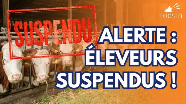 Scandale en France : après les soignants, les éleveurs suspendus !