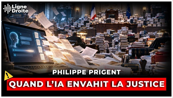Tsunami de recours IA : "Le système n’a pas été conçu pour les intelligences artificielles."