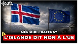 Une claque pour Bruxelles : l'Islande dit NON à l’Europe à 52,7% - Mériadec Raffray