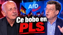 Victoire de l'AFD : la gauche française en deuil Victoire de l'AFD : la gauche française en deuil