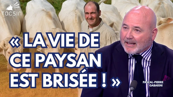 Volé 40 fois, un paysan risque cinq ans de prison ferme pour avoir tiré sur son voleur !
