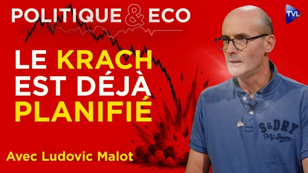 "Vous ne posséderez plus rien" : hold-up légal sur votre épargne ? Ludovic Malot - Politique & Eco